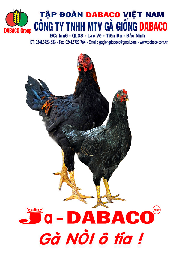 Công ty TNHH MTV Gà giống DABACO Dabaco Group